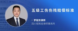 五级工伤伤残赔偿标准