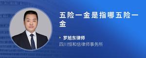 五险一金是指哪五险一金