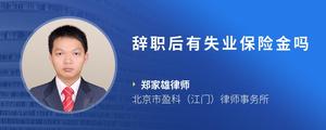 辞职后有失业保险金吗