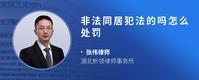 非法同居犯法的吗怎么处罚
