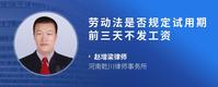 劳动法是否规定试用期前三天不发工资