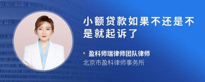 小额贷款如果不还是不是就起诉了