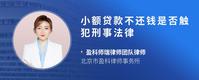 小额贷款不还钱是否触犯刑事法律