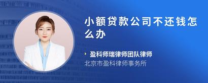 小额贷款公司不还钱怎么办