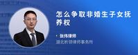 怎么争取非婚生子女抚养权