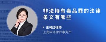 非法持有毒品罪的法律条文有哪些