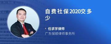 自费社保2020交多少