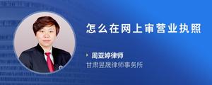 怎么在网上审营业执照