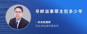 寻衅滋事罪主犯多少年