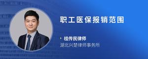 职工医保报销范围