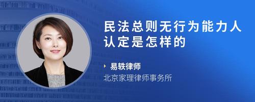 民法总则无行为能力人认定是怎样的