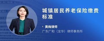 城镇居民养老保险缴费标准