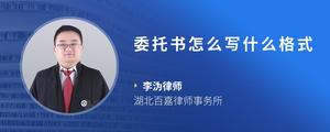委托书怎么写什么格式