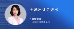 土地出让金谁出