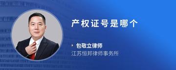 产权证号是哪个