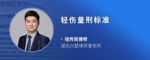 轻伤量刑标准