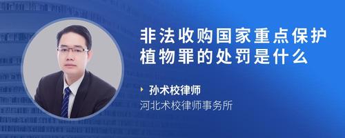 非法收购国家重点保护植物罪的处罚是什么