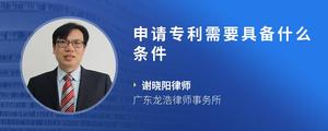 申请专利需要具备什么条件
