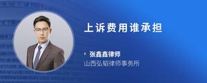 上诉费用谁承担