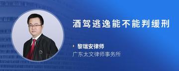 酒驾逃逸能不能判缓刑