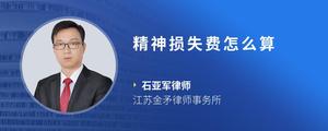 精神损失费怎么算