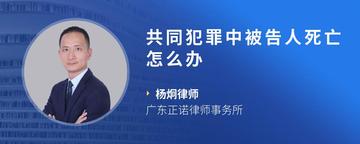 共同犯罪中被告人死亡怎么办