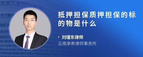 抵押担保质押担保的标的物是什么