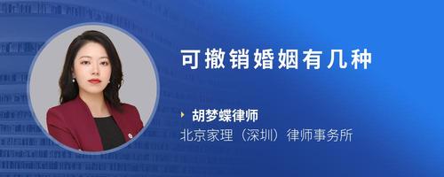 可撤销婚姻有几种