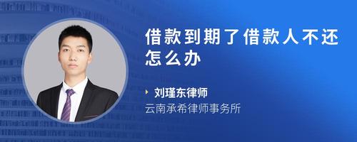 借款到期了借款人不还怎么办