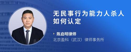 无民事行为能力人杀人如何认定