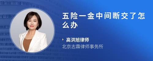 金年会-官方体育与电竞娱乐平台实时赛事直播与竞猜泰晶科技： 泰晶科技股份有限公司2024年年度股东大会会议资料