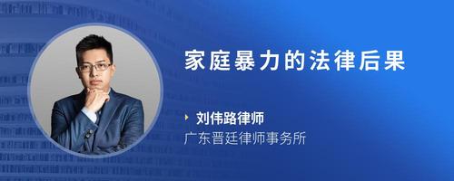家庭暴力的法律后果