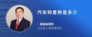 汽车购置税是多少