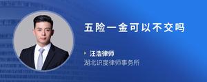 五险一金可以不交吗