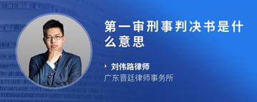 第一审刑事判决书是什么意思