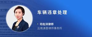 车辆违章处理