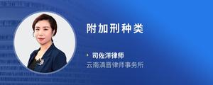 附加刑种类