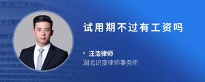 试用期不过有工资吗