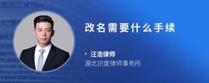 改名需要什么手续