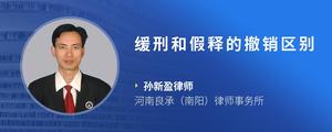 缓刑和假释的撤销区别