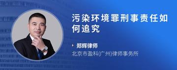 污染环境罪刑事责任如何追究