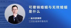 可撤销婚姻与无效婚姻是什么