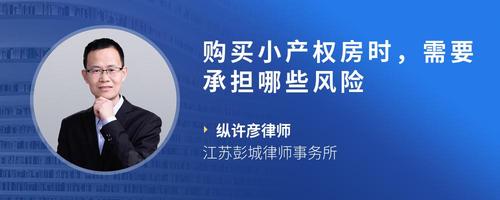 购买小产权房时，需要承担哪些风险