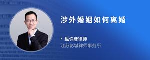 涉外婚姻如何离婚