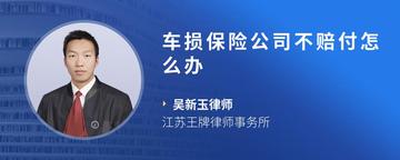 车损保险公司不赔付怎么办