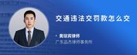 交通违法交罚款怎么交