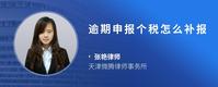 逾期申报个税怎么补报