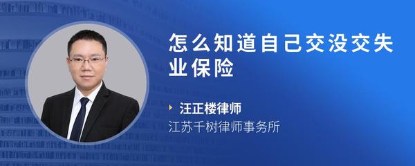 怎么知道自己交没交失业保险
