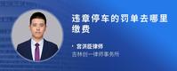 违章停车的罚单去哪里缴费