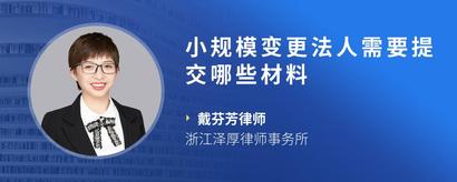 小规模变更法人需要提交哪些材料